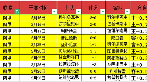 “本耶德尔对两年缓刑判决寻求上诉”